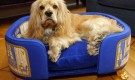 Dog Bowls And Luxury Kennels: ideal for His or Her Majesty’s travels