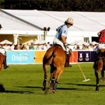 MINT Polo In the Park -