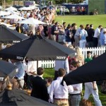 MINT Polo In the Park Public MINT Polo In the Park Public