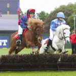 MINT Polo In the Park photos