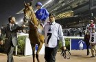Meydan Race Meydan Race