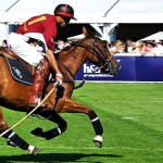 Mint Polo Park 2012 Mint Polo Park 2012
