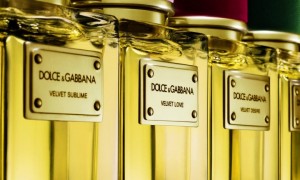 Dolce & Gabbana’s Velvet Collection