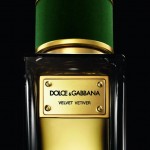 Dolce & Gabbana’s Velvet Collection Vetiver