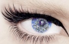 Logo oeil Logo oeil