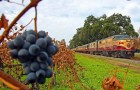 Napa_train