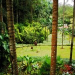 inhotim_5