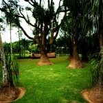 inhotim_7