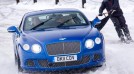 Skijoring with Bentley zaiforbentley Supersports ski