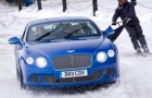 Bentley Skis - Skijoring Bentley Skis - Skijoring
