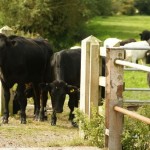green_farming_agriculture_2 green_farming_agriculture_2