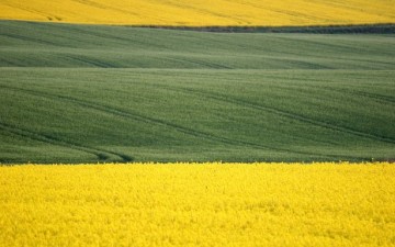 From Processed and Industrial to Farming and Organic: A New World Order?