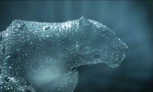 Cartier Panther