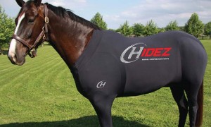 hidez for horses