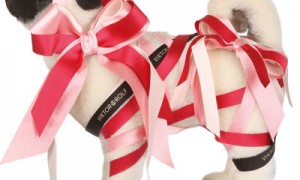 victor-and-rolf pug dog