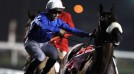 Monterosso wins for UAE the Dubai World Cup, the world’s richest horse race