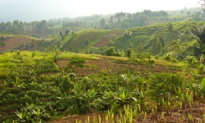 Indonesialand Indonesialand