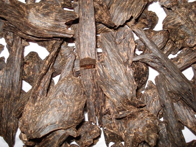 What You Did Not Know About Oud
