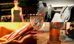 les tanneries roux