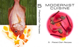 modernist cuisine cookbook 2012