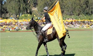 veuve clicquot polo classic
