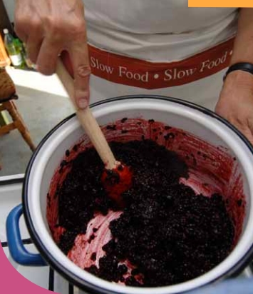 The Most Expensive Jam in Europe Is Produced at The Prince of Wales'Village in Transylvania_1