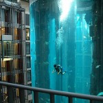 Sea Life and Diving Without Leaving The Hotel_9