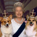 Royal pets