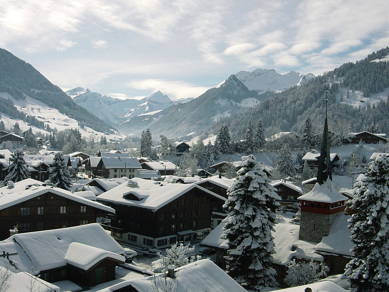 At the Louis Vuitton Store Opening in Gstaad