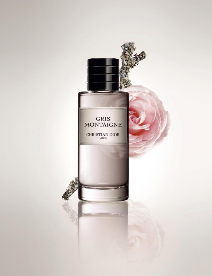 dior gris montaigne