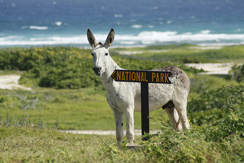 Aruba National Park Aruba National Park