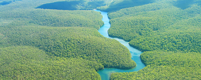 http://www.2luxury2.com/wp-content/uploads/2014/02/Amazon-River-Aerial-View.jpg