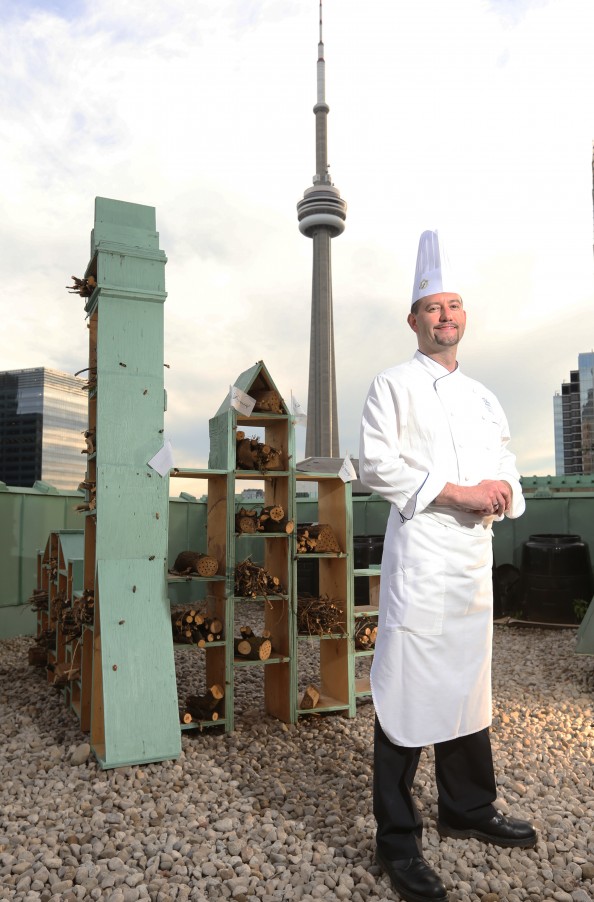 Bee Hotel Fairmont Royal York