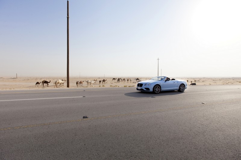 Bentley's Desert Train Race 2015
