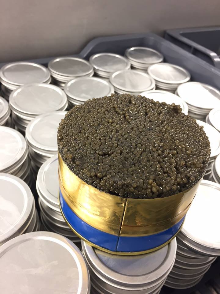 caviar-de-neuvic