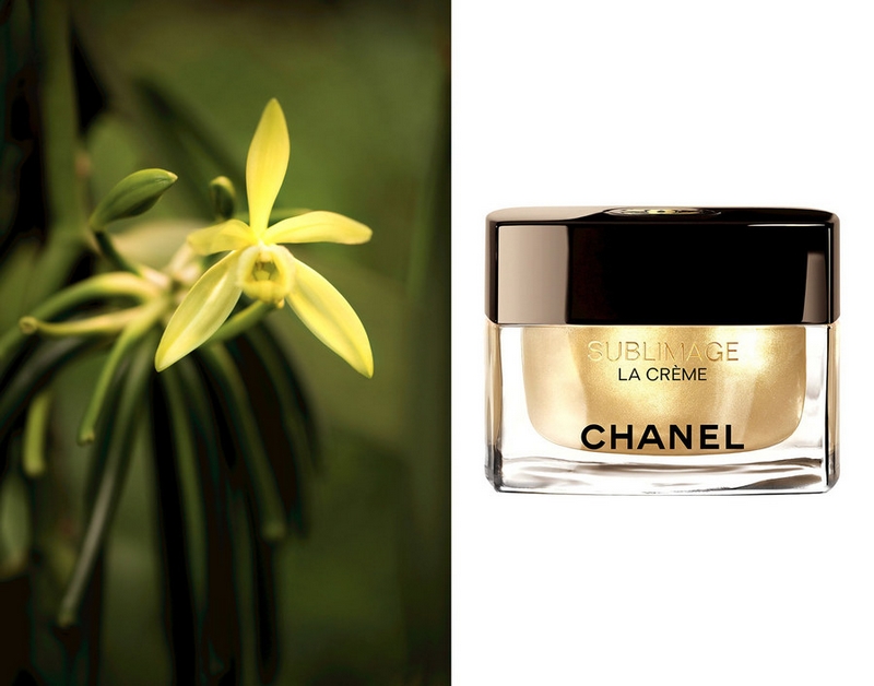 Chanel Sublimage Collection - Vanilla planifolia plant