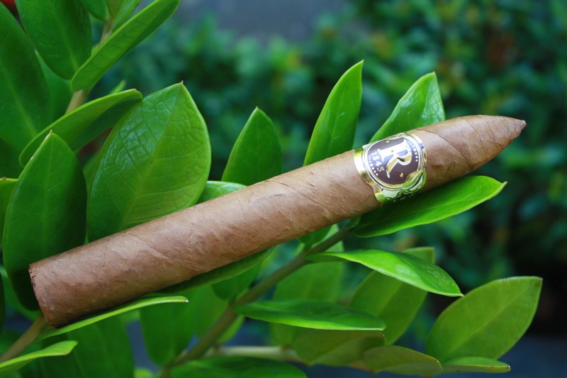 Cuban cigars robaina