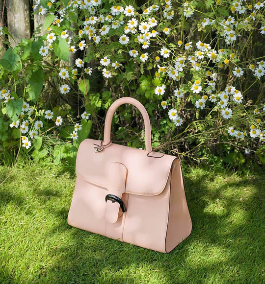 Delvaux 2015 Spring-Summer Collection