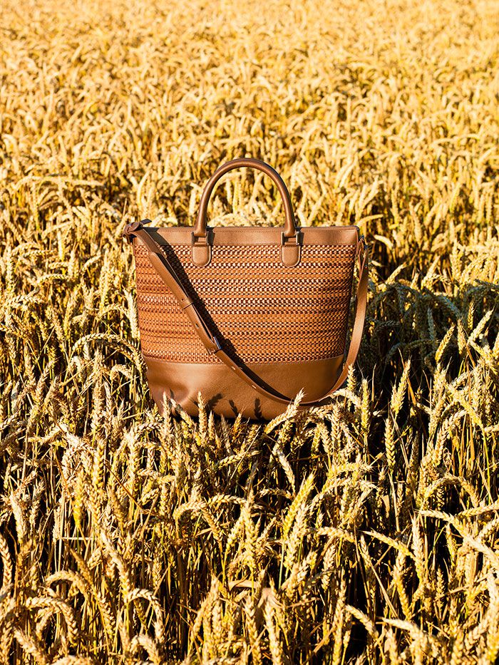 Delvaux bag Spring Summer 2015-every-d-tote-toile-de-cuir-panier-allure-vegetal