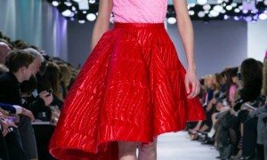 Dior RTW 2014 - 2015 - 001 Dior RTW 2014 - 2015 - 001