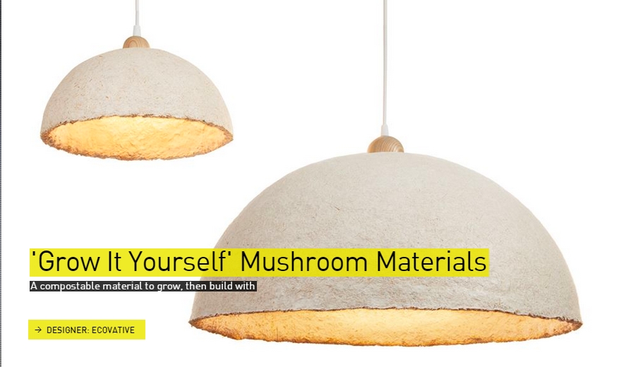 Grow It Yourself Mushroom Materials- The Designs of the Year 2015 nominees @ Design Museum London