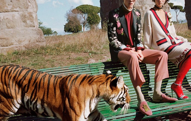 Gucci unveils spring-summer 2017 campaign