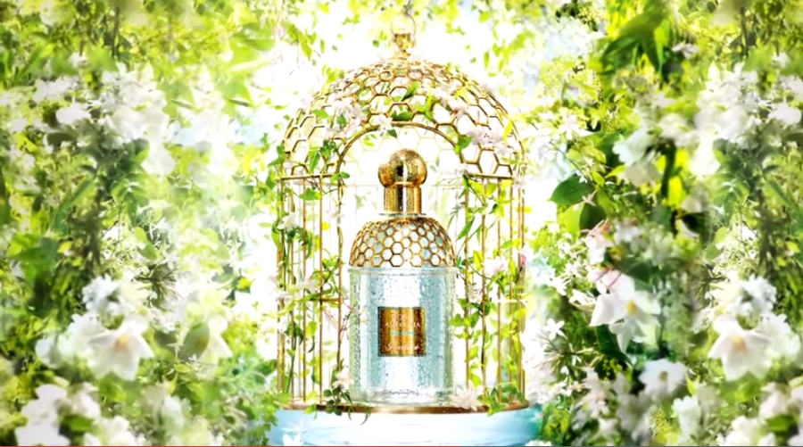 Guerlain new Aqua Allegoria fragrance