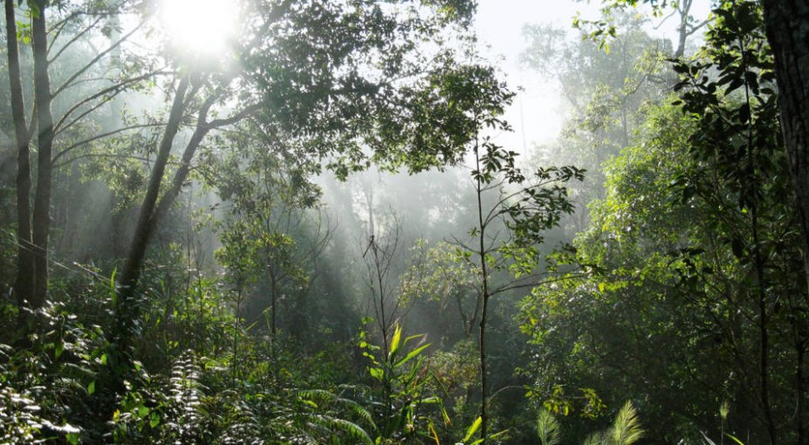 Guerlain the TianZi nature reserve