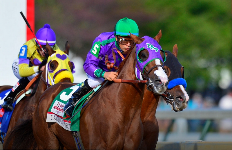 High-Stakes Horse Races - The Run for the Roses, also known as the Kentucky Derby.