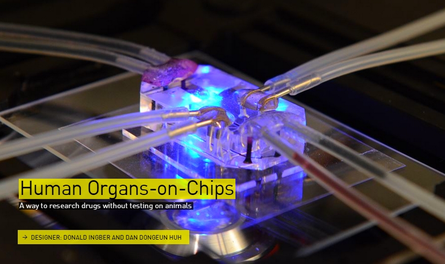 Human Organs on chips - The Designs of the Year 2015 nominees @ Design Museum London