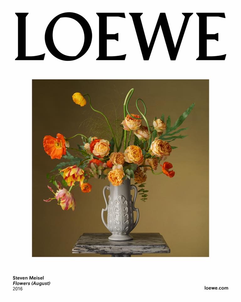 loewe-spring-summer-2017-campaign