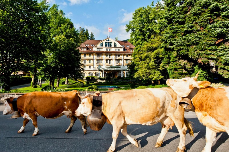 Le Grand Bellevue - Gstaad in Switzerland -SLH Awards 2015-Best Hotel Photograph