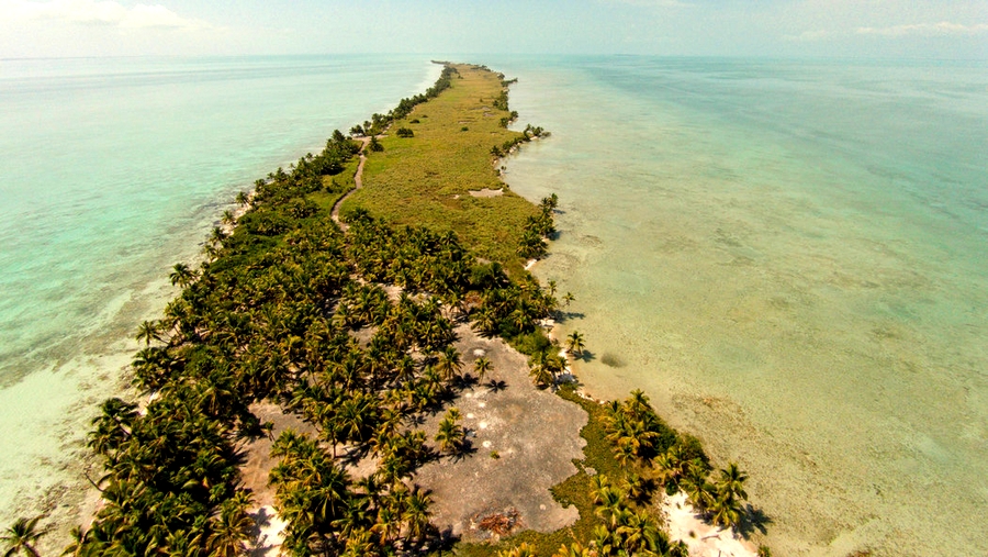 Leonardo di Caprio Eco-Resort Belize