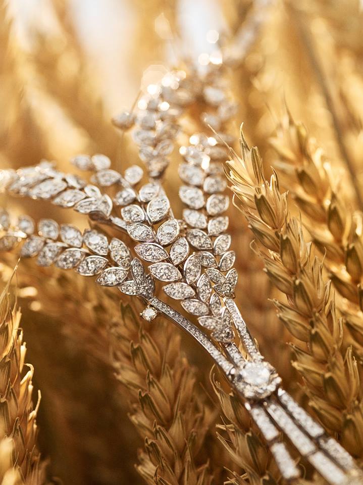 Les Blés de CHANEL, a new High Jewelry Collection inspired by wheat-2016-
